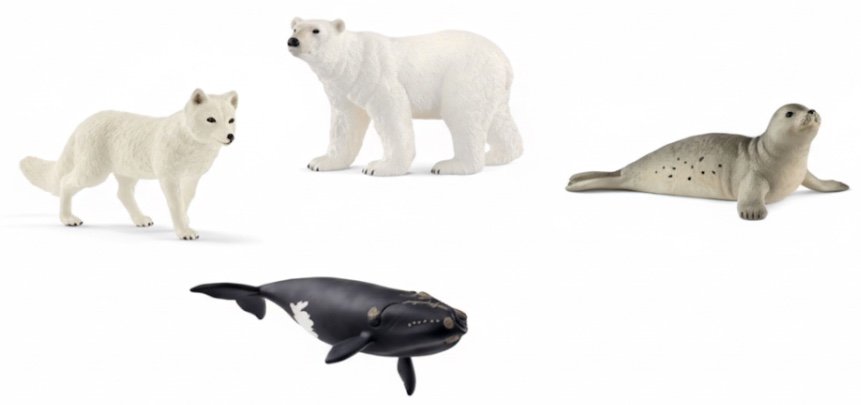 Animaux de la banquise