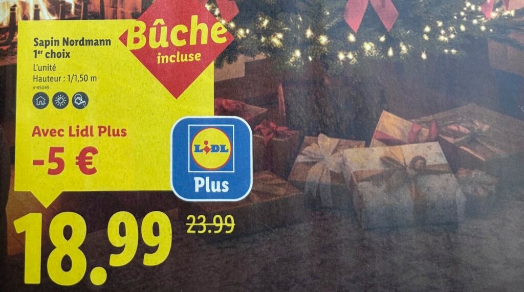 Offre sapin de Noël 2025 chez Lidl à partir du 27 novembre