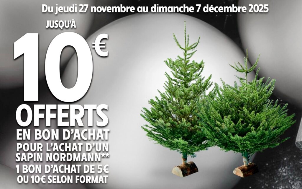 Offre promo sapin Nordmann Intermarché 2025