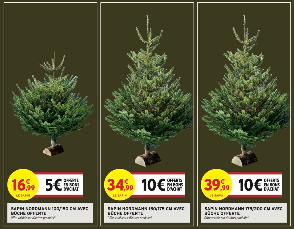 Les différentes tailles de sapins concernées par la promo Intermarché de Noël