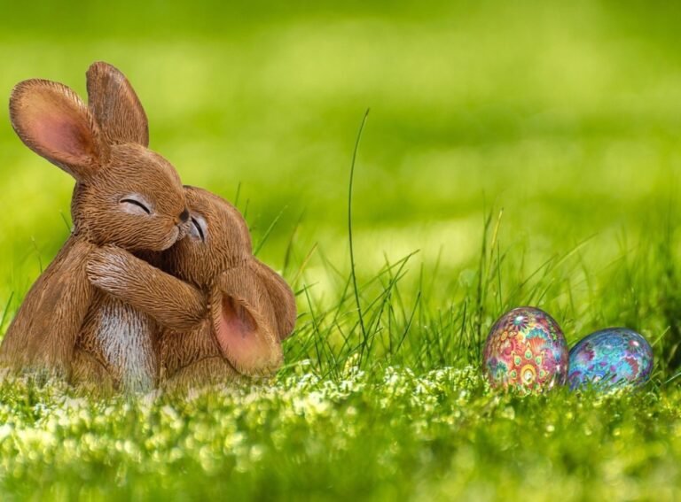 Jeu Lidl Pâques 2026